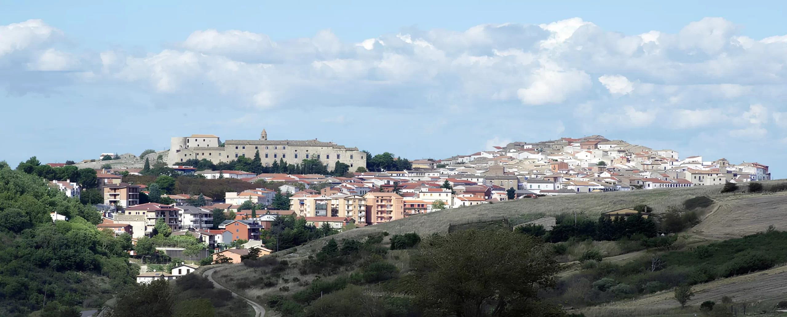 01.bovino